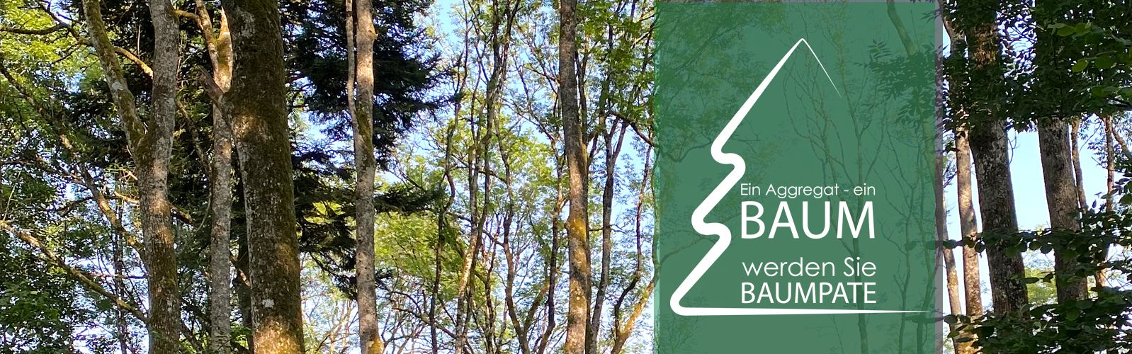 Nachhaltiges Unternehmen im Schwarzwald